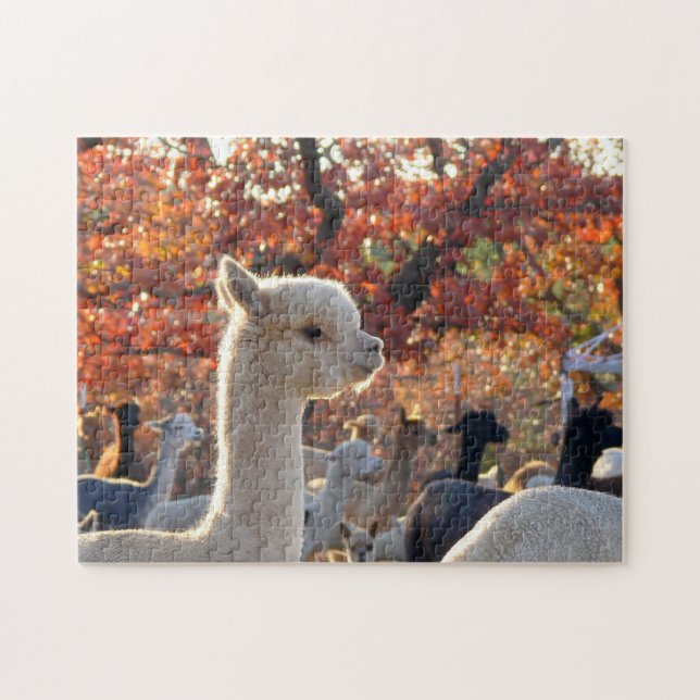 Rompecabezas de la alpaca (Horizontal)