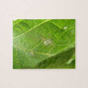 Rompecabezas de la araña pequeña