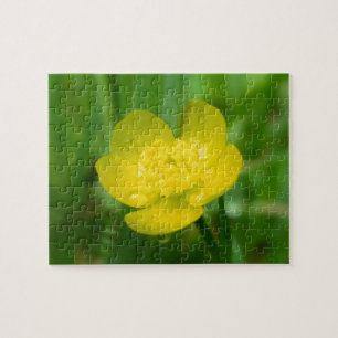 Rompecabezas de la Buttercup