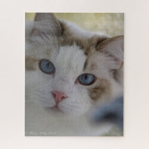 Rompecabezas de la cara del gato