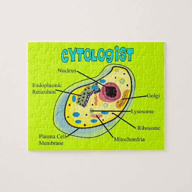 Rompecabezas de la célula humana del Cytologist (Horizontal)