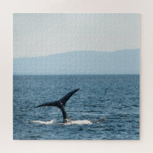 Rompecabezas de la cola de ballena jorobada Escéni