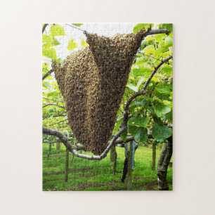 Rompecabezas de la colmena de la abeja del kiwi
