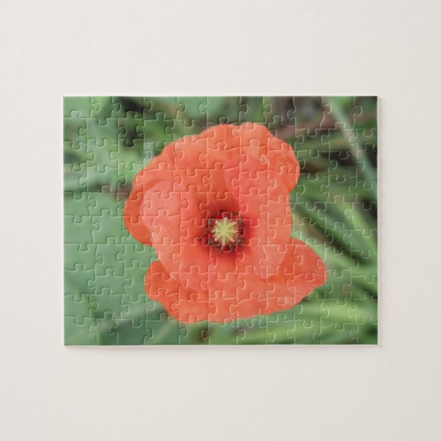 Rompecabezas de la flor de la amapola (Horizontal)