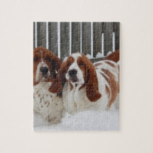 Rompecabezas de la foto de Basset Hound 8x10 con