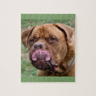 Rompecabezas de la foto de Dogue de Bordeaux 8x10
