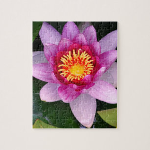 Rompecabezas de la foto de la flor de loto
