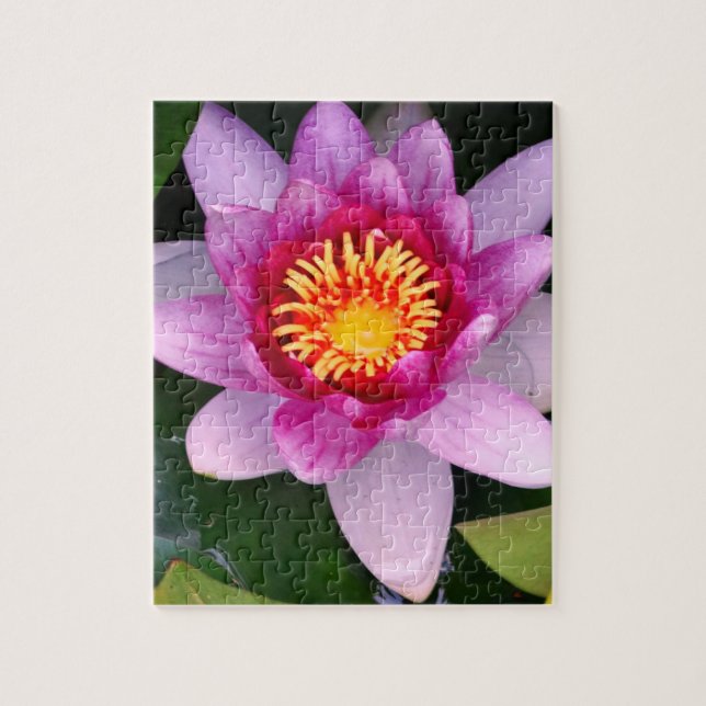 Rompecabezas de la foto de la flor de loto (Vertical)