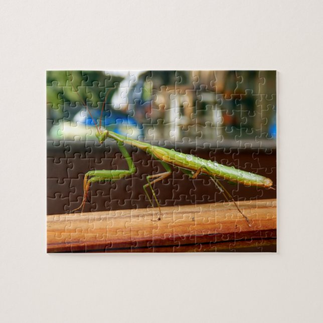 Rompecabezas de la foto de la mantis religiosa con (Horizontal)