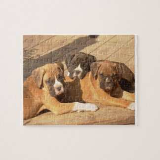Rompecabezas de la foto de los perritos 8x10 del