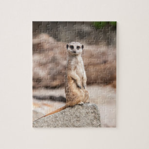 Rompecabezas de la foto de Meerkat