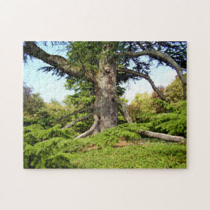 Rompecabezas de la foto del árbol de