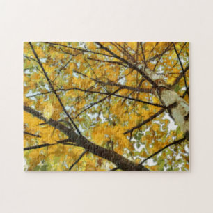Rompecabezas de la foto del árbol de abedul amaril