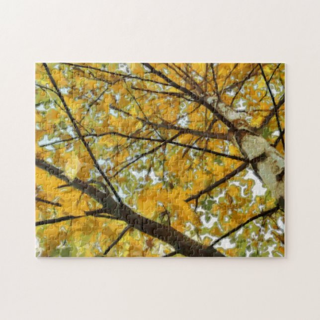 Rompecabezas de la foto del árbol de abedul amaril (Horizontal)