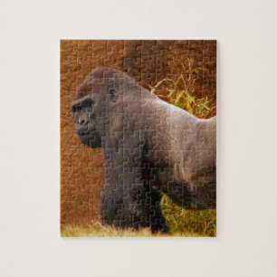 Rompecabezas de la foto del gorila del Silverback