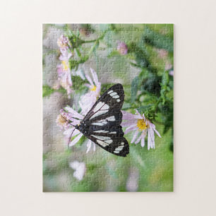 Rompecabezas de la fotografía de la mariposa