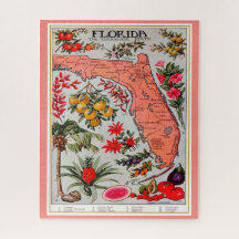 Rompecabezas de la Fruta de Florida 16x20