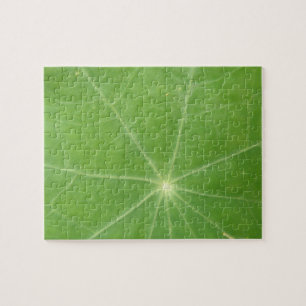 Rompecabezas de la hoja de Nasturtium