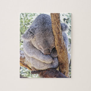 Rompecabezas de la koala