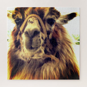 Rompecabezas de la llama