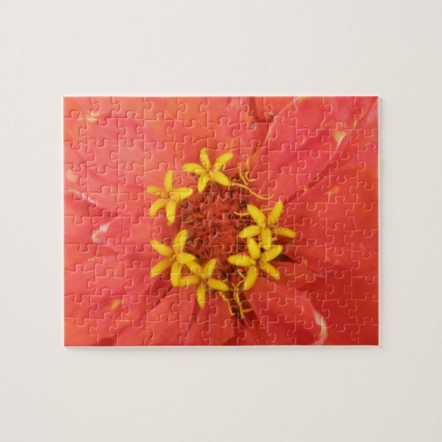 Rompecabezas de la macro zinnia roja (Horizontal)