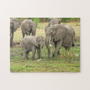 Rompecabezas de la madre elefante y el bebé