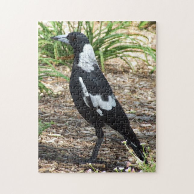 Rompecabezas de la Magpie australiana (Vertical)