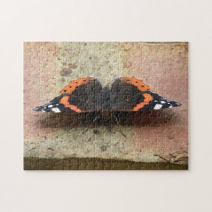 Rompecabezas de la mariposa del Almirante Rojo