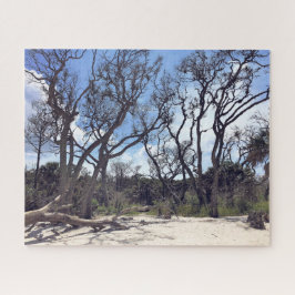 Rompecabezas de la playa de Driftwood