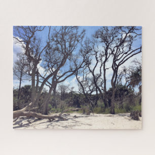 Rompecabezas de la playa de Driftwood