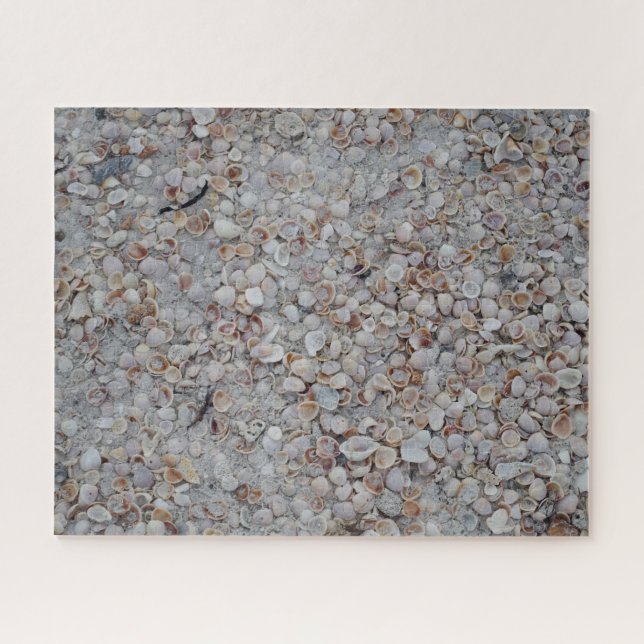 Rompecabezas de la playa de los Seashells de la (Horizontal)