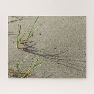 Rompecabezas de la playa de Sandy de Cape Cod