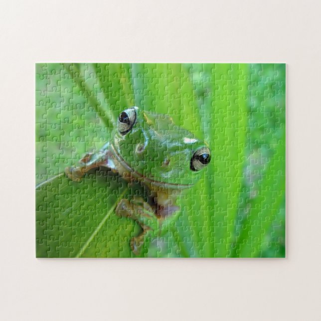 Rompecabezas de la rana verde (Horizontal)