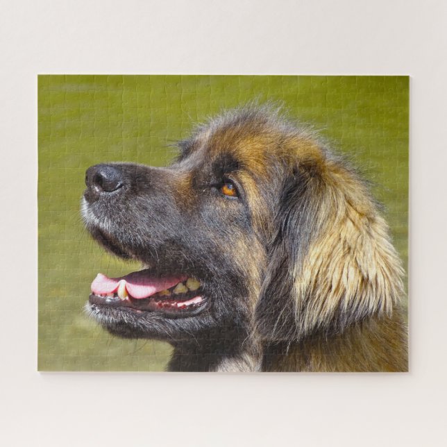 Rompecabezas de la raza de perro Leonberger. (Horizontal)