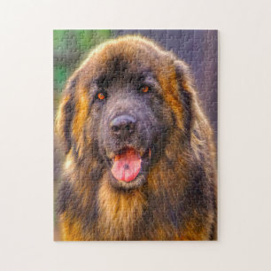 Rompecabezas de la raza de perro Leonberger.