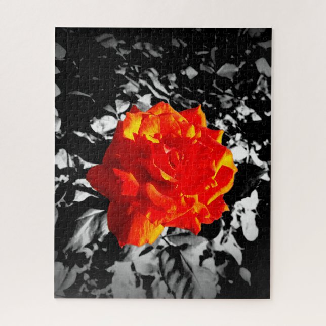 Rompecabezas de la rosa roja (Vertical)