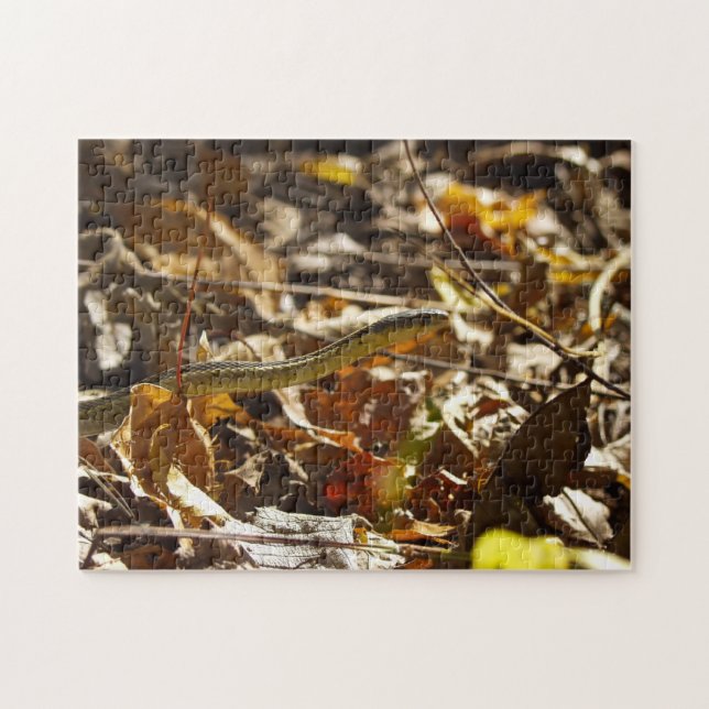 Rompecabezas de la serpiente (Horizontal)