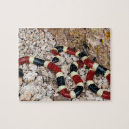 Rompecabezas de la serpiente de Arizona Coral Jigs