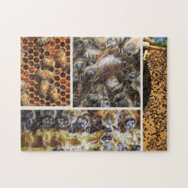 Rompecabezas de la vida de la abeja