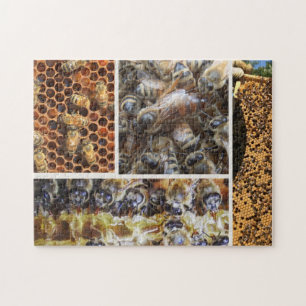 Rompecabezas de la vida de la abeja