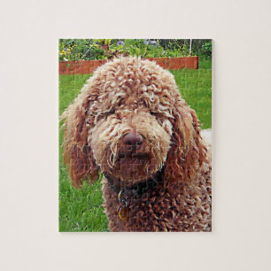 Rompecabezas de Labradoodle "Stella"