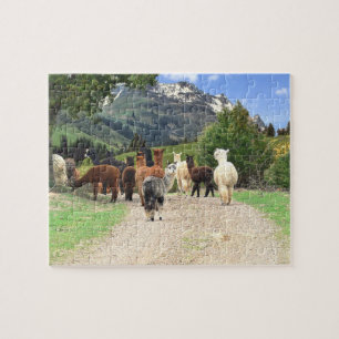 Rompecabezas de las alpacas