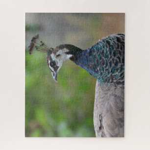 Rompecabezas de las aves de corral