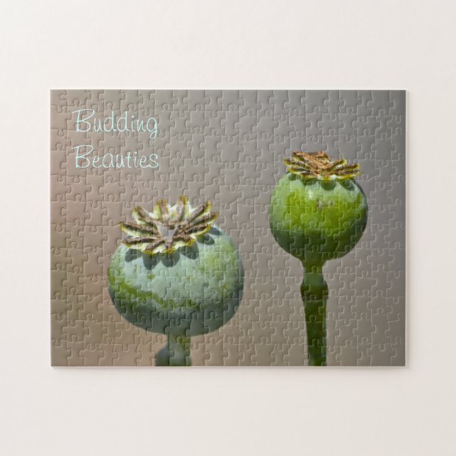 Rompecabezas de las bellezas en ciernes (Horizontal)