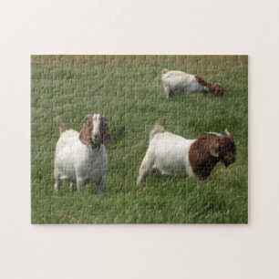 Rompecabezas de las cabras