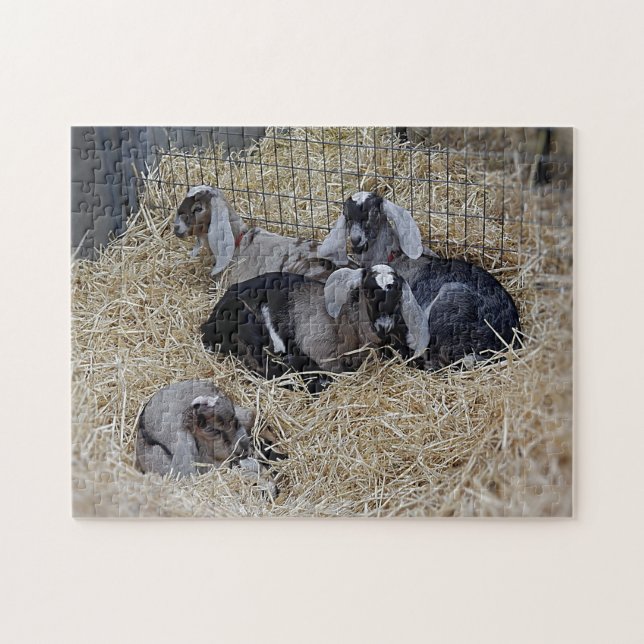 Rompecabezas de las cabras bebés (Horizontal)