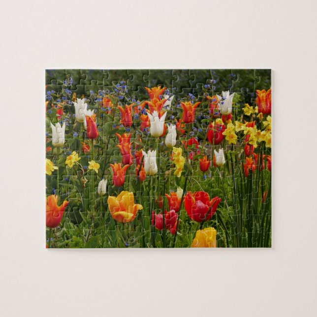 Rompecabezas de las flores de primavera (Horizontal)