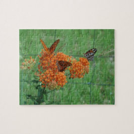 Rompecabezas de las mariposas monarcas