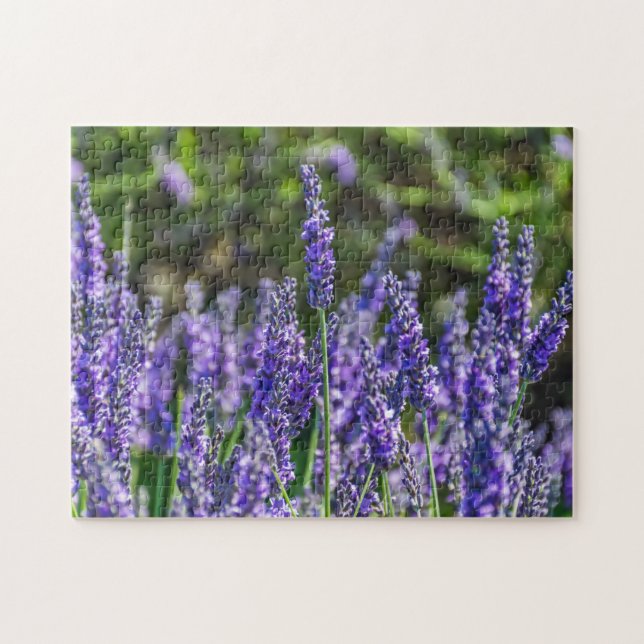 Rompecabezas de lavanda (Horizontal)
