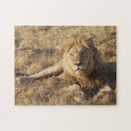 Rompecabezas de leones